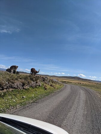 Private Transport Purikuy-普诺大区必去景点