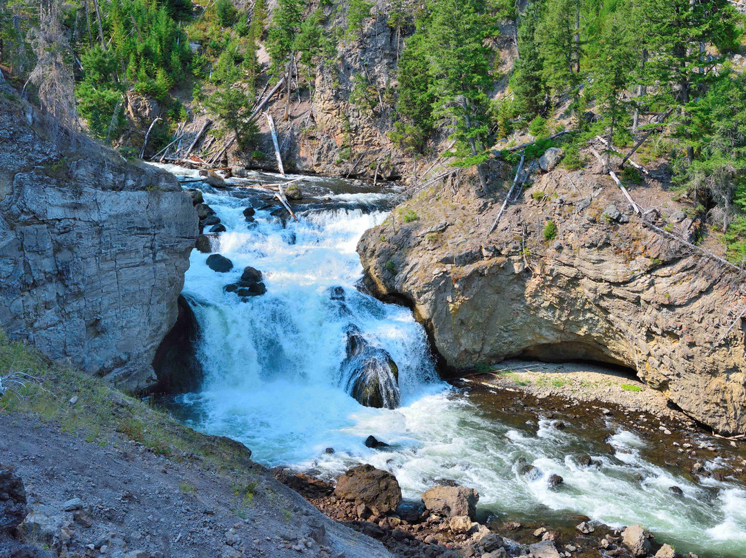 Firehole River景点图片