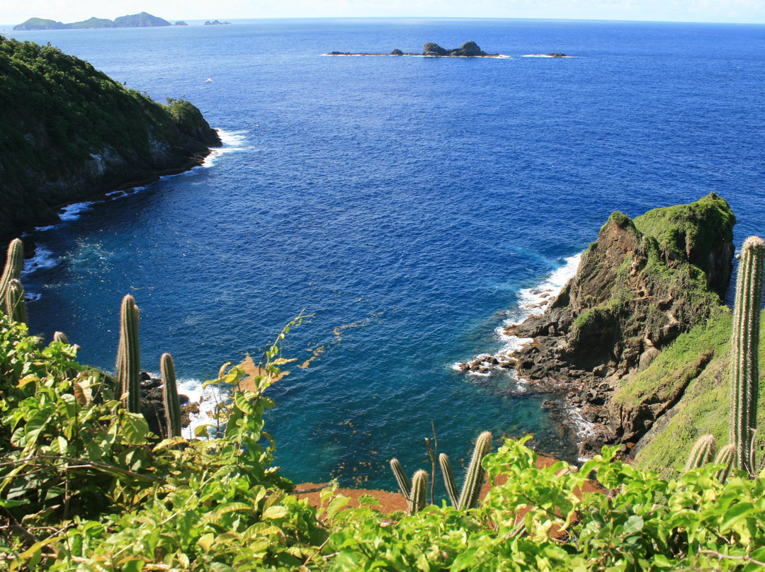 Charlotteville旅游景点-Little Tobago