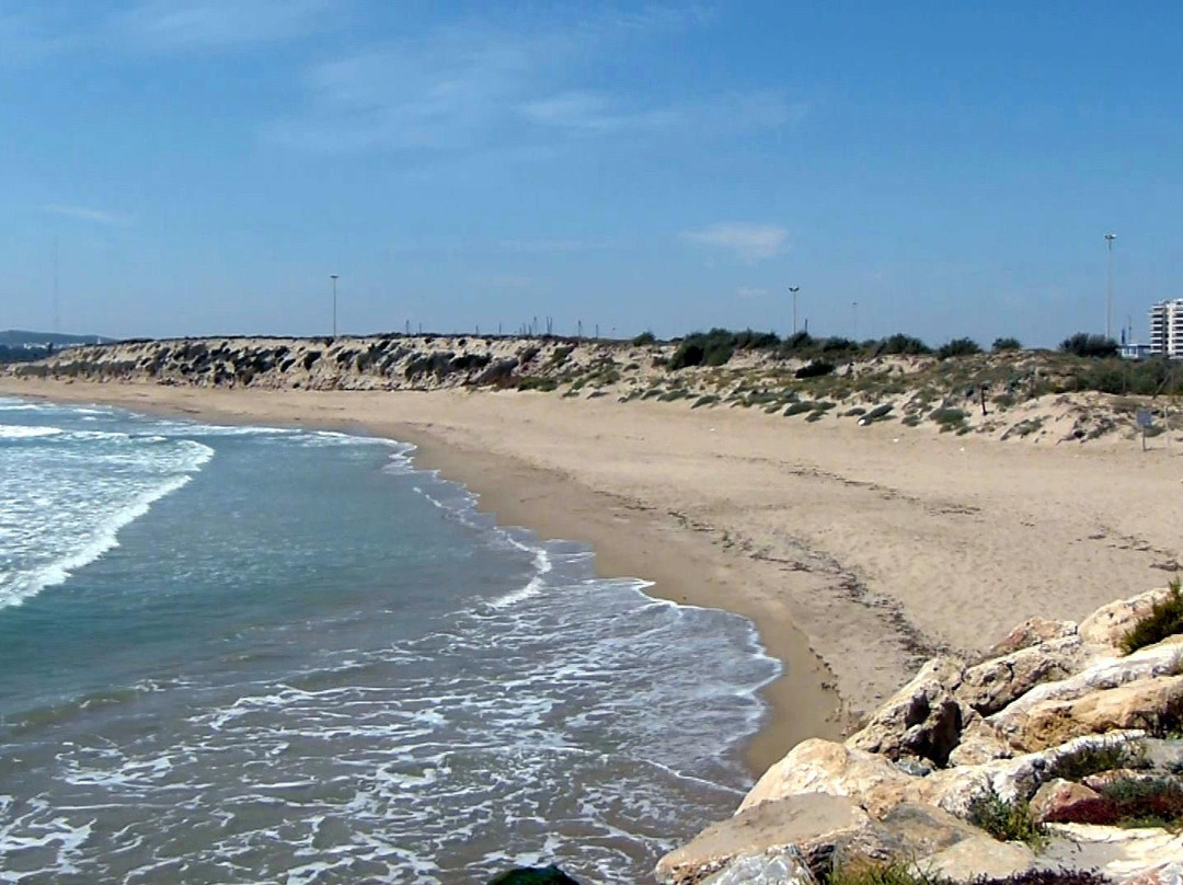 Playa de Guardamar景点图片