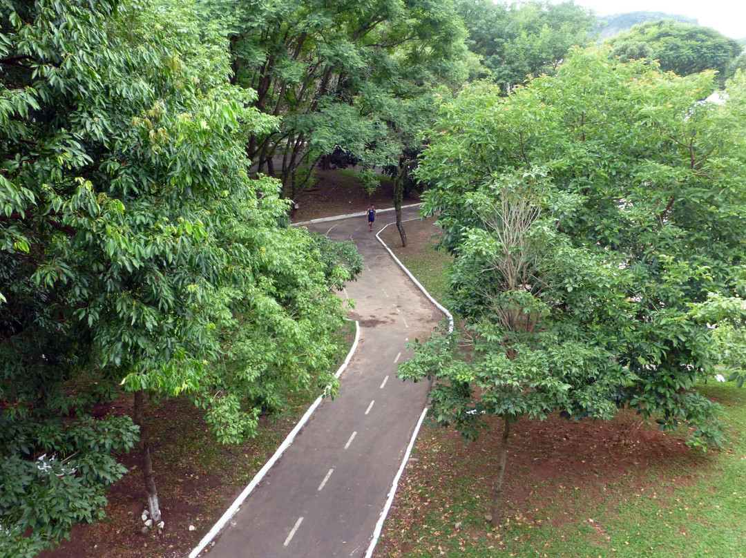 Parque Itaimbé景点图片
