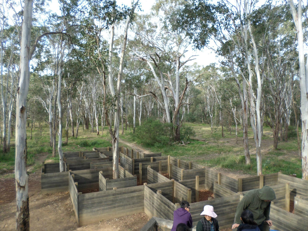 Rouse Hill Regional Park景点图片