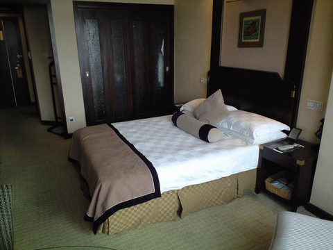 龙禧大酒店主图