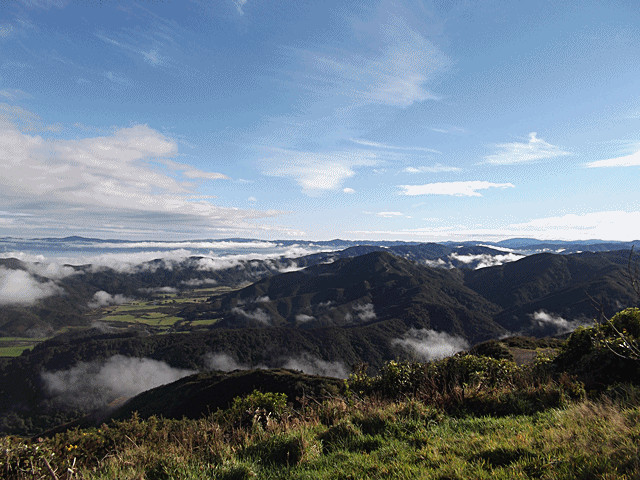Wellington Adventures - Day Trip-惠灵顿必去景点
