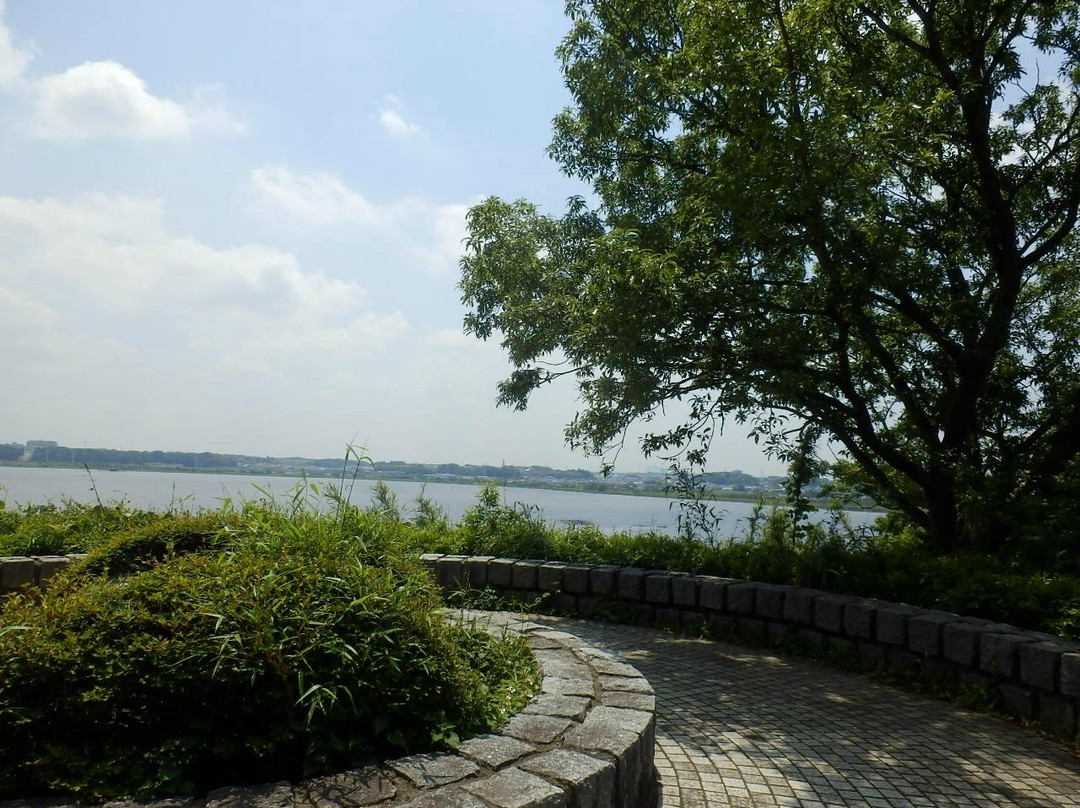 印西市旅游景点-Chiba Inbanuma Park