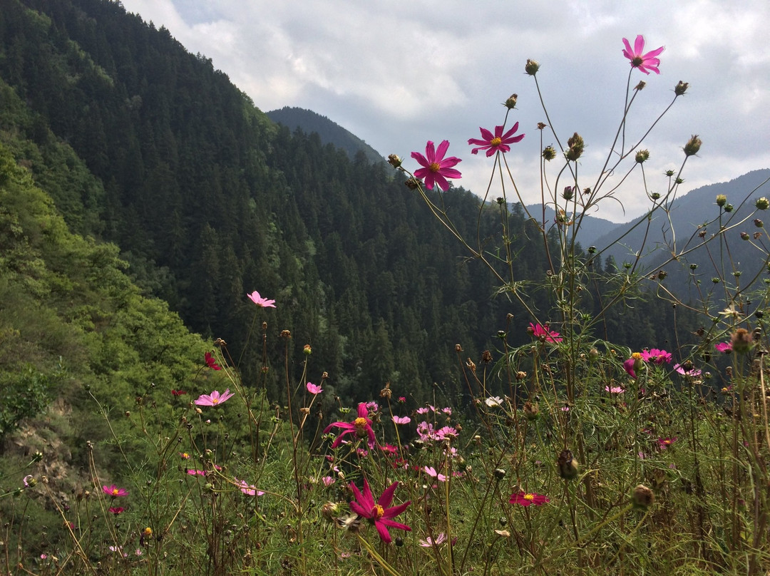 定西旅游攻略图片