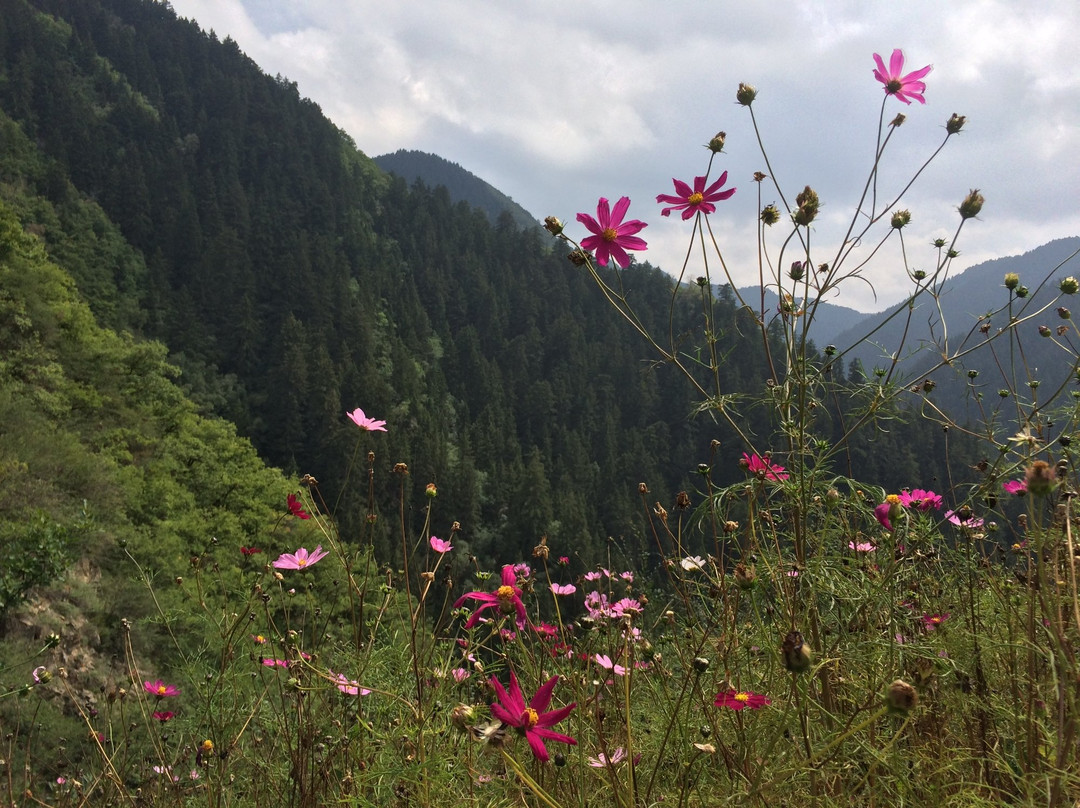 兴隆山国家级自然保护区景点图片