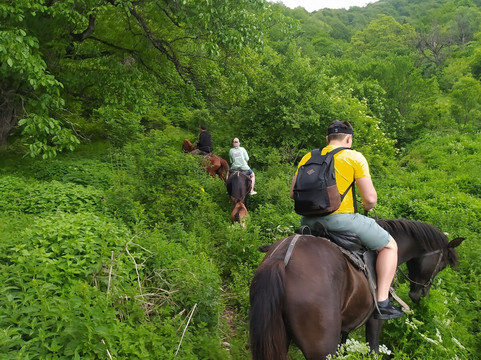 Private Tour Georgia-第比利斯必去景点