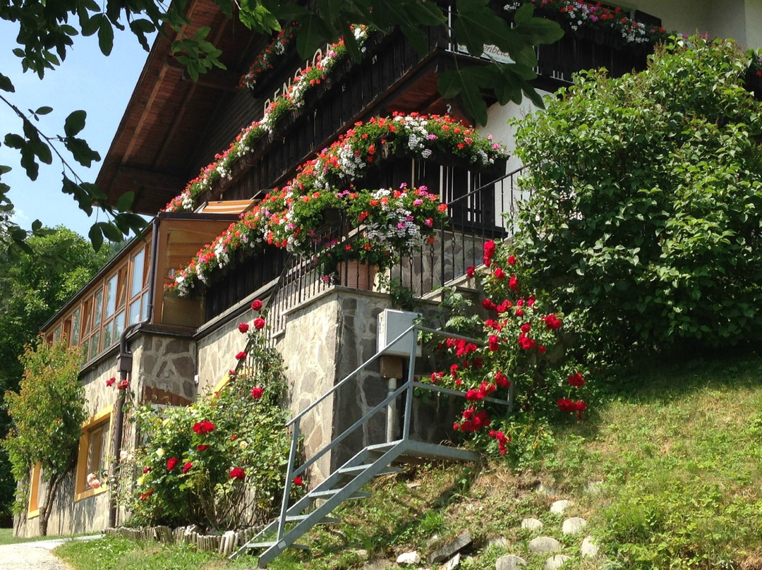 Pension Alpenblick
