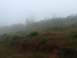 Muthanga Wildlife Sanctuary-Muthanga必去景点