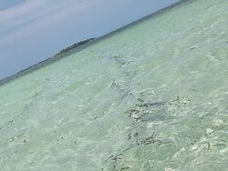 娜鲁萱岛度假村主图