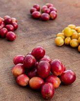 Cafe de Altura-Quimbaya必去景点