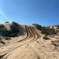 Nitsanim Dunes Nature Reserve景点图片