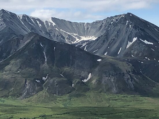 The Denali Tour Experience-德纳利国家公园和自然保护区必去景点
