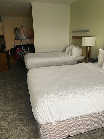 SpringHill Suites by Marriott Chesapeake Greenbrier主图