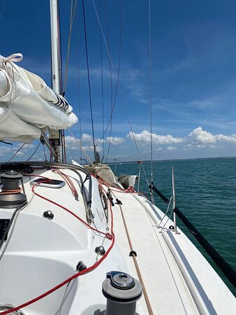 Sea Sail & Cruise景点图片