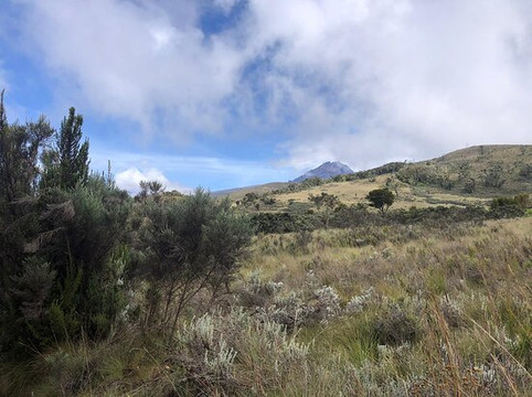 Kilimanjaro Elite Tours-莫西必去景点