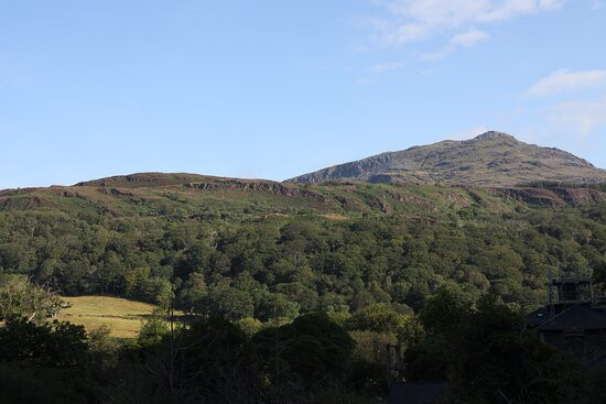 The Grapes Hotel主图