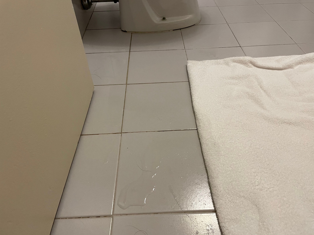 德皮尼别墅酒店
