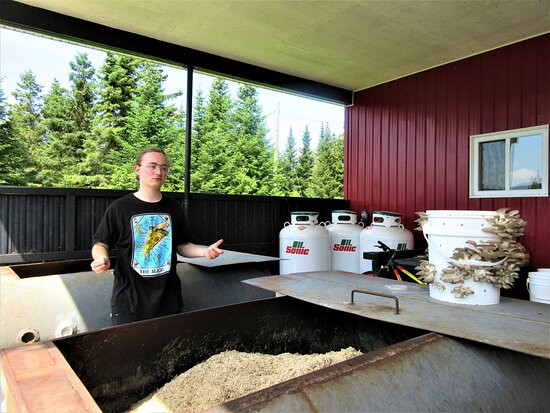 Champignons Charlevoix-拉马尔拜必去景点