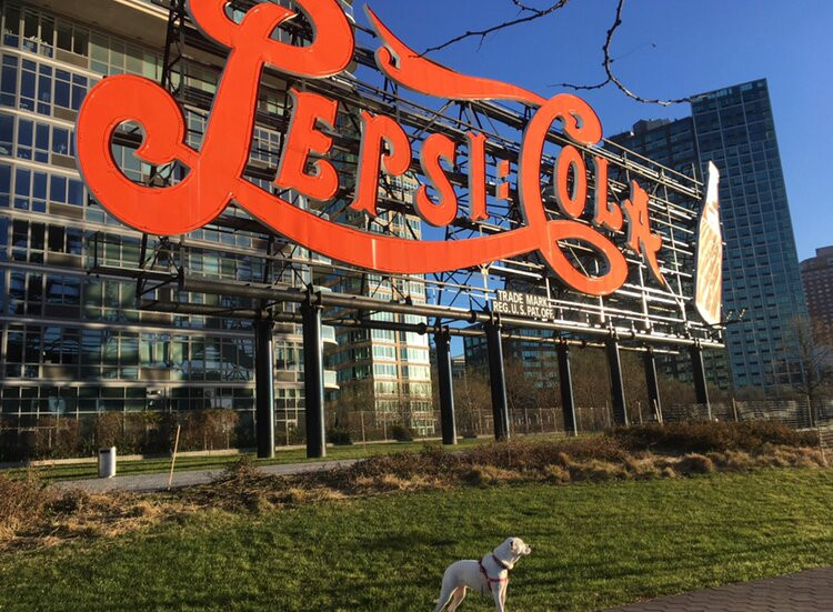 Pepsi Cola Sign-长岛市必去景点