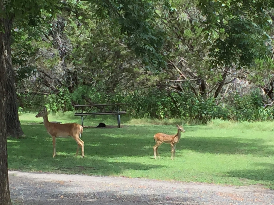 Kerrville-Schreiner Park