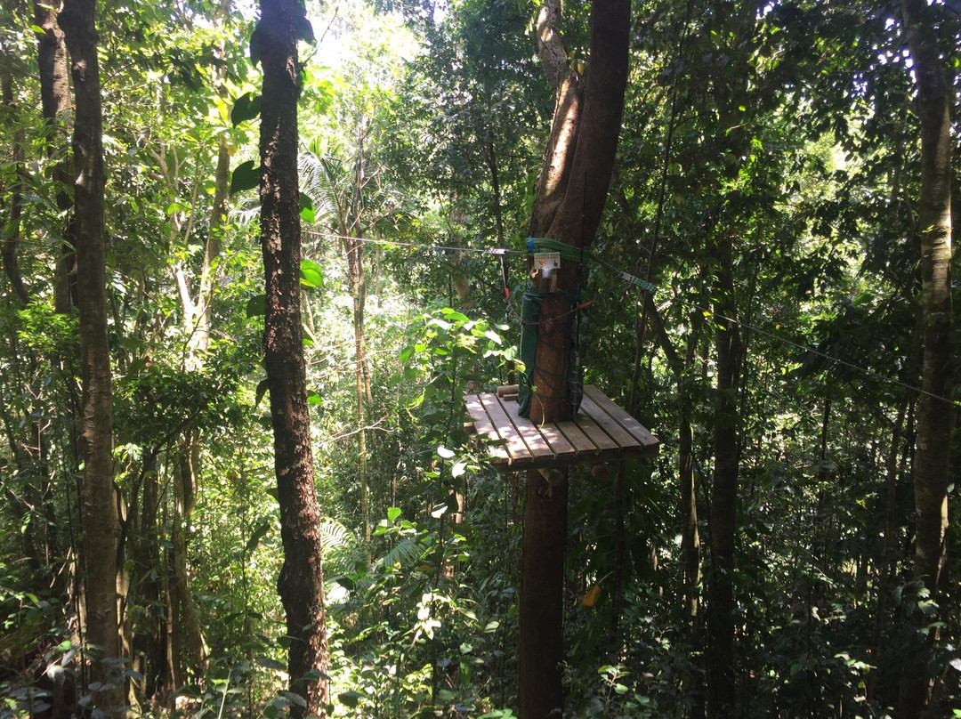 Le Tapeur-Pointe-Noire必去景点