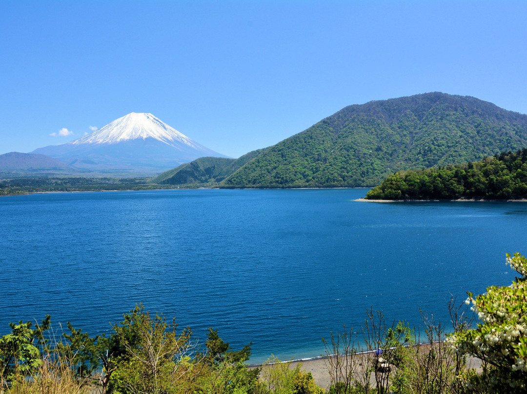 富士河口湖町旅游攻略图片