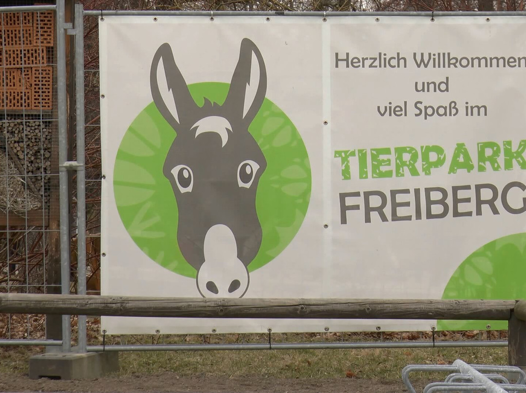 Tierpark Freiberg景点图片