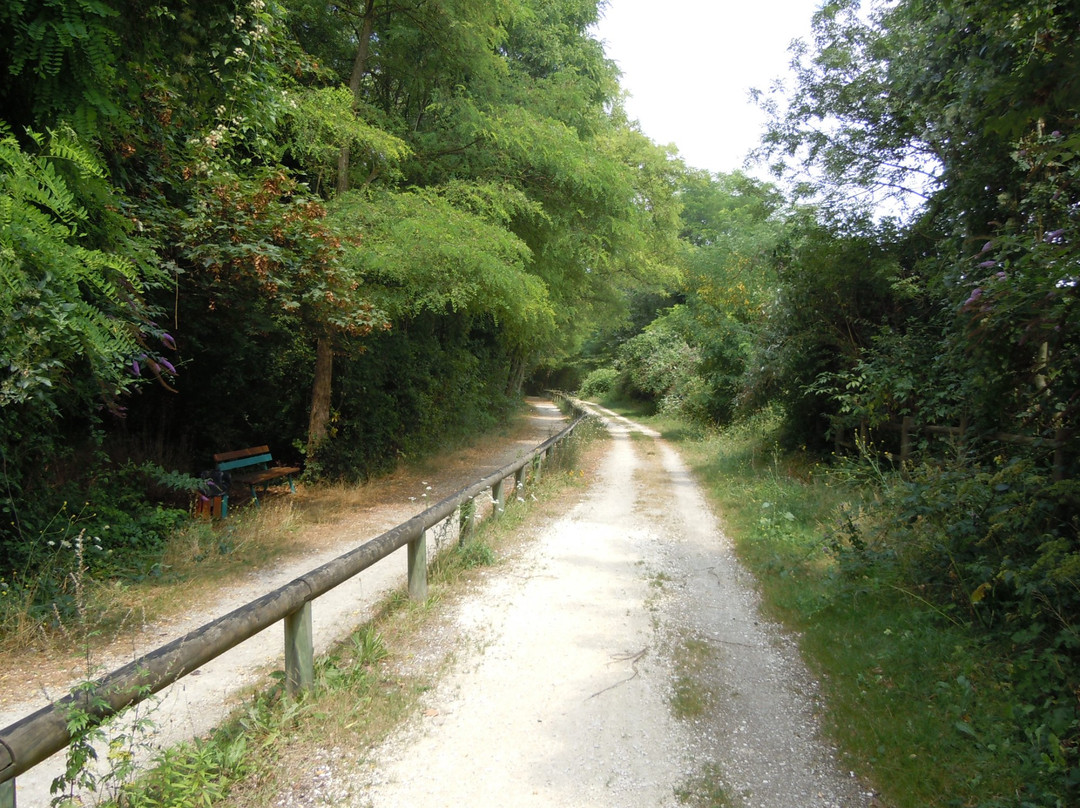 讷伊普莱桑斯旅游攻略图片