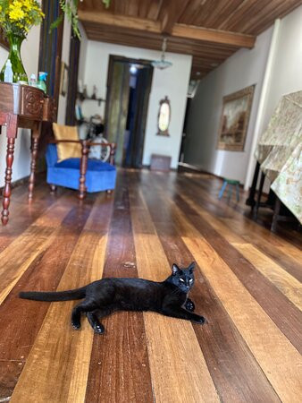 Alojamiento: La Pequeña Casa Pijao主图