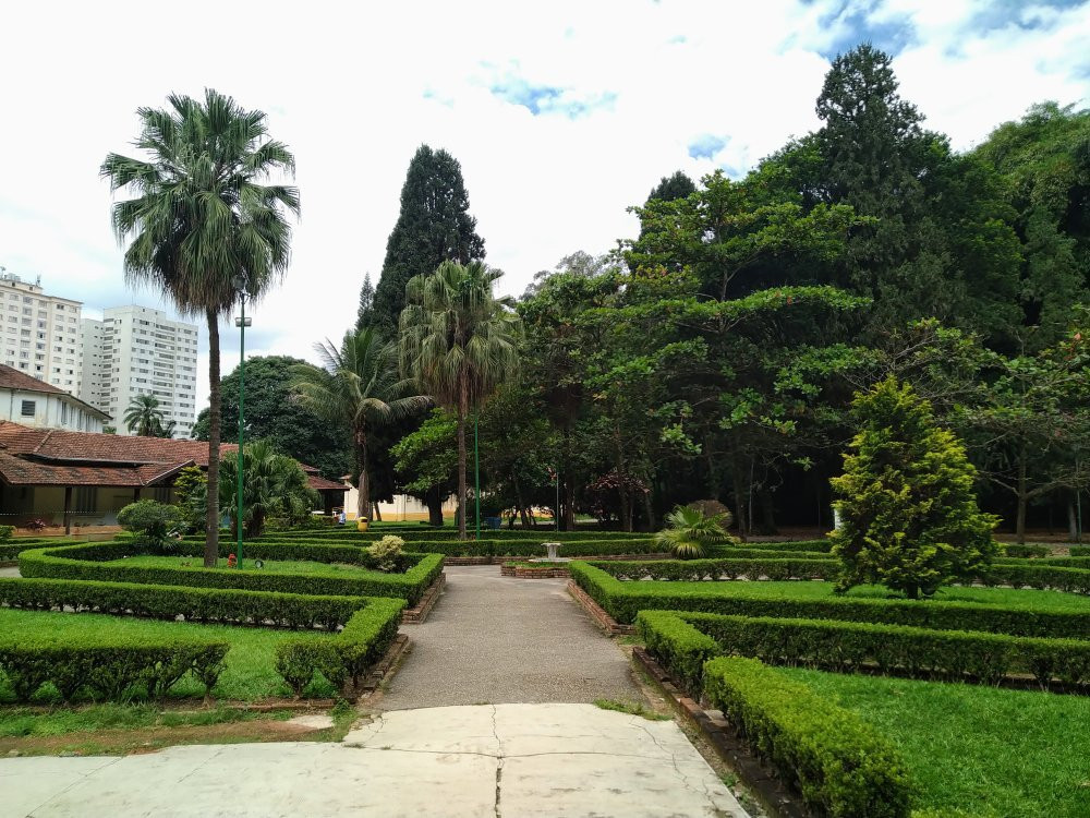 Parque Vicentina Aranha景点图片