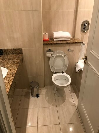 安奈酒店主图