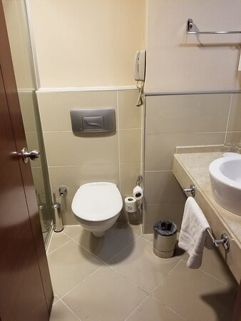 Anemon Eskisehir Hotel主图