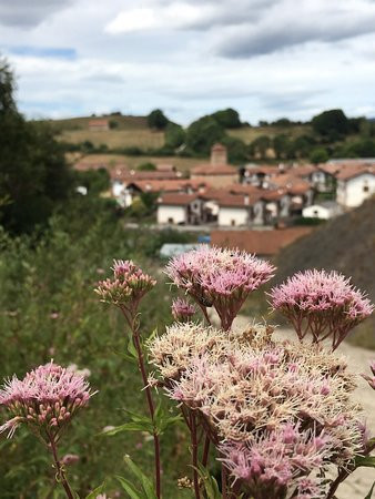 Hotel Rural Iribarnia主图