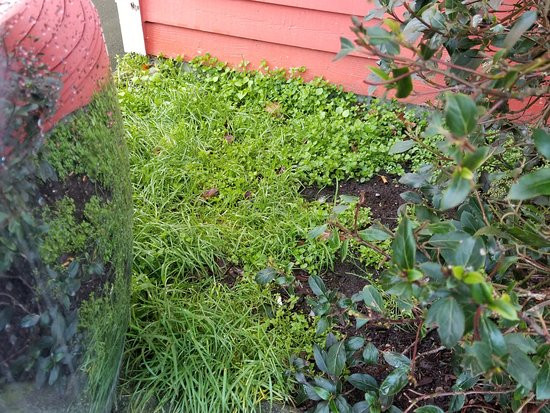 Harborside Inn主图