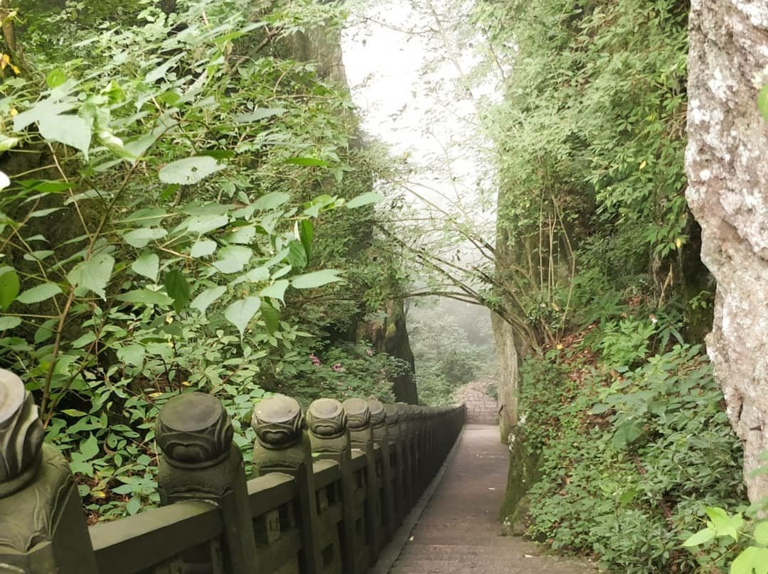 西天目山景点图片