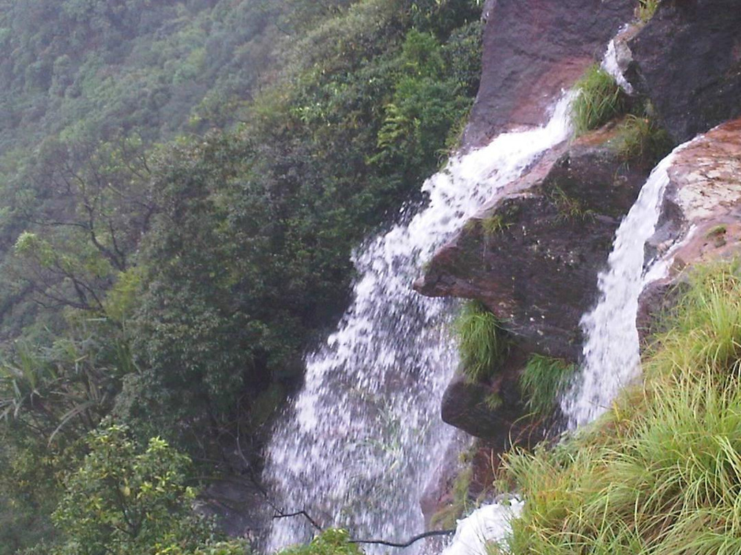 Eco Park景点图片