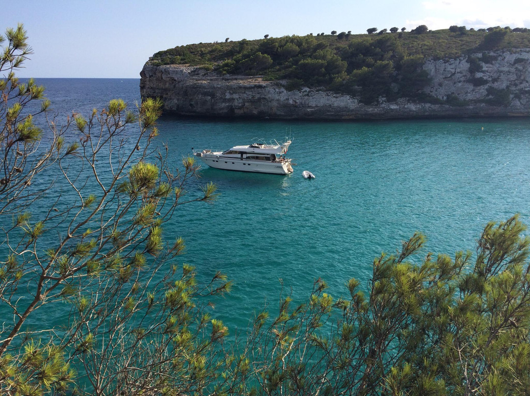 Cala Anguila餐馆和美食-Playa Romantica Beach Club