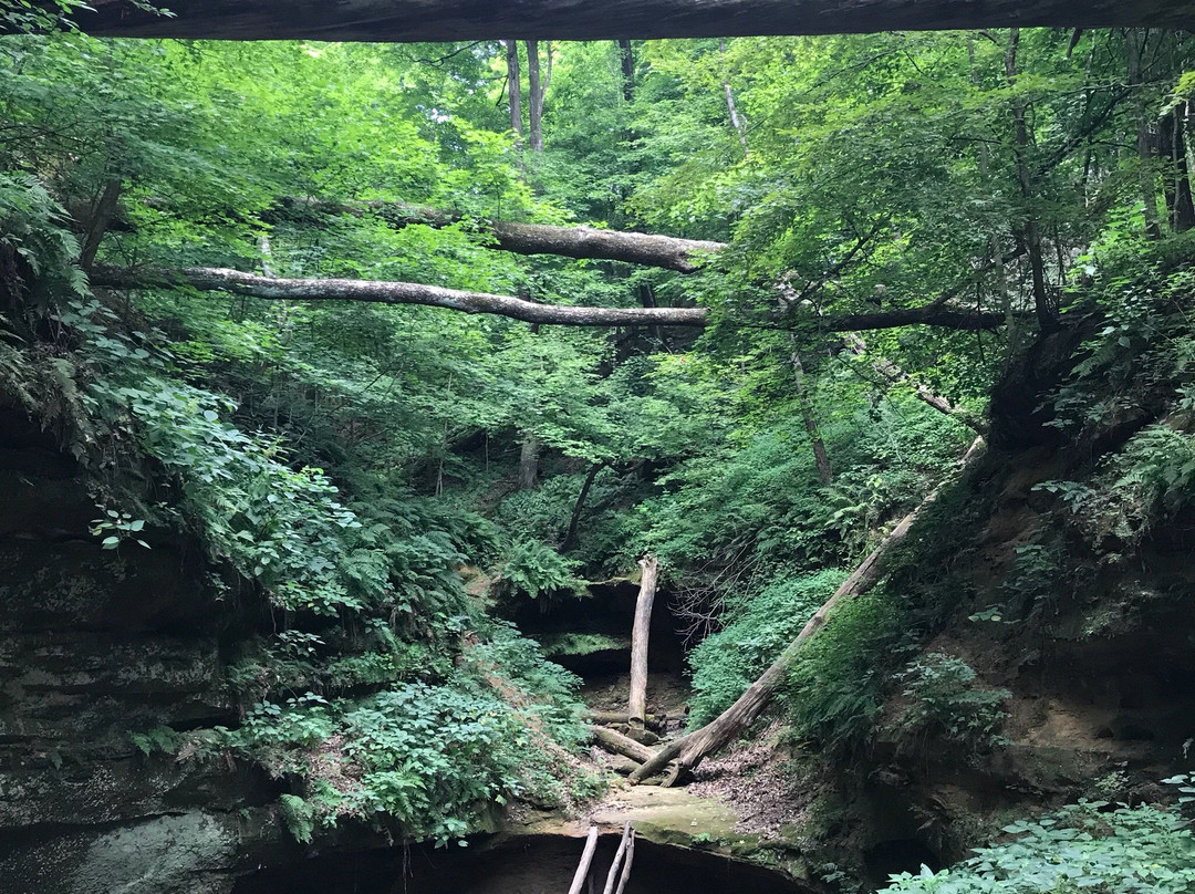 Muscatine旅游攻略图片