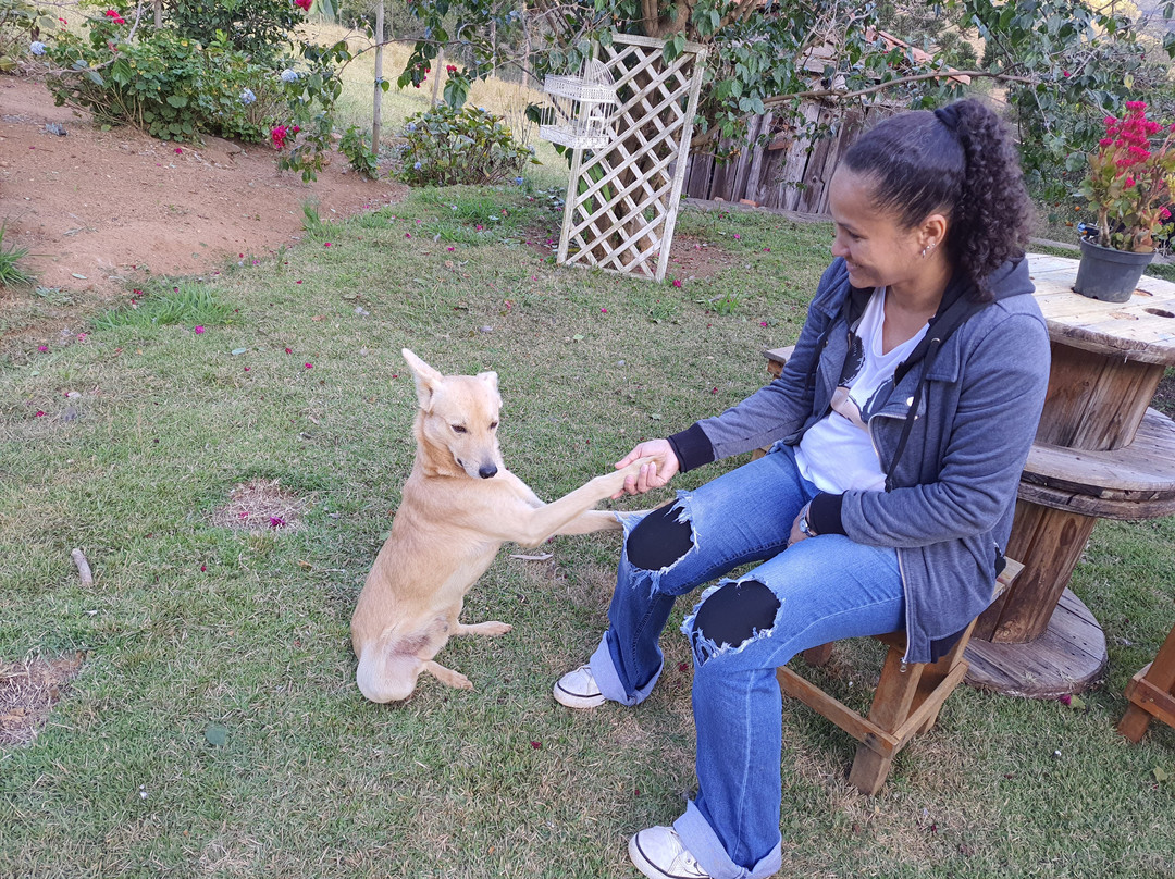 Sitio Cedro Vermelho