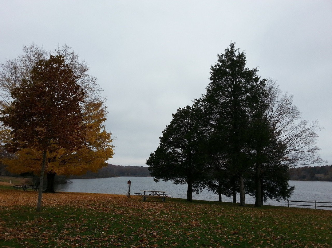 Pinckney Recreation Area - Bruin Lake景点图片