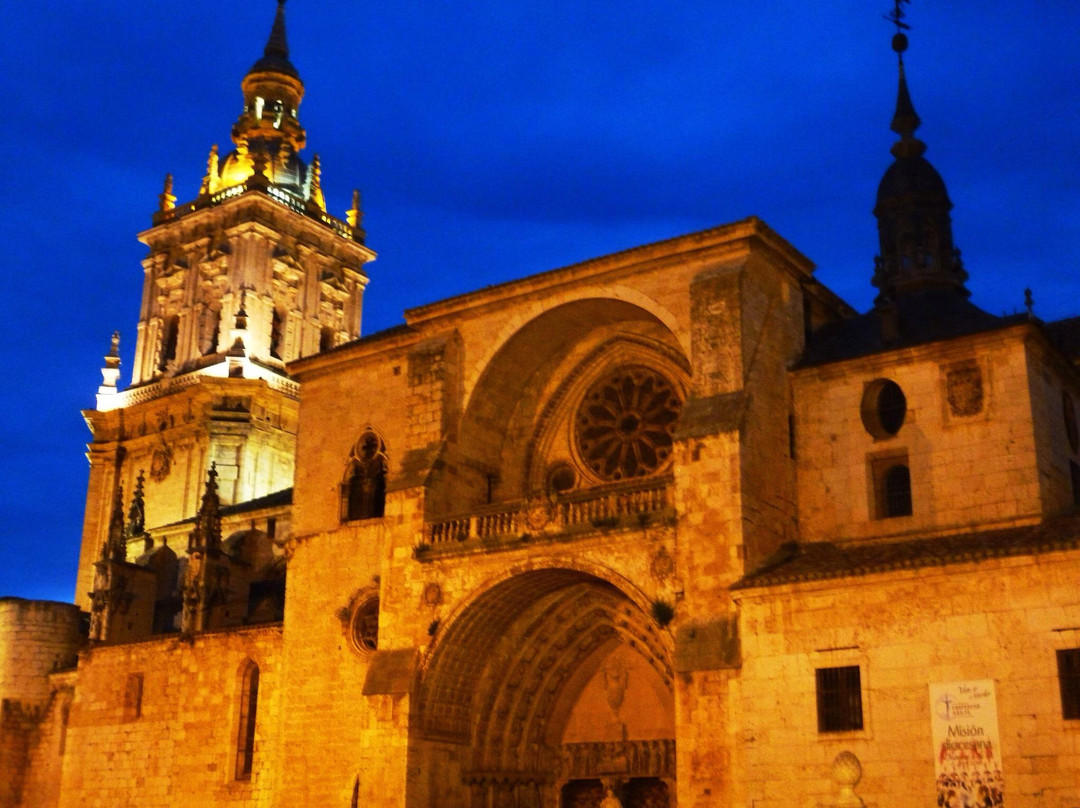 Catedral de la Asuncion de El Burgo de Osma景点图片