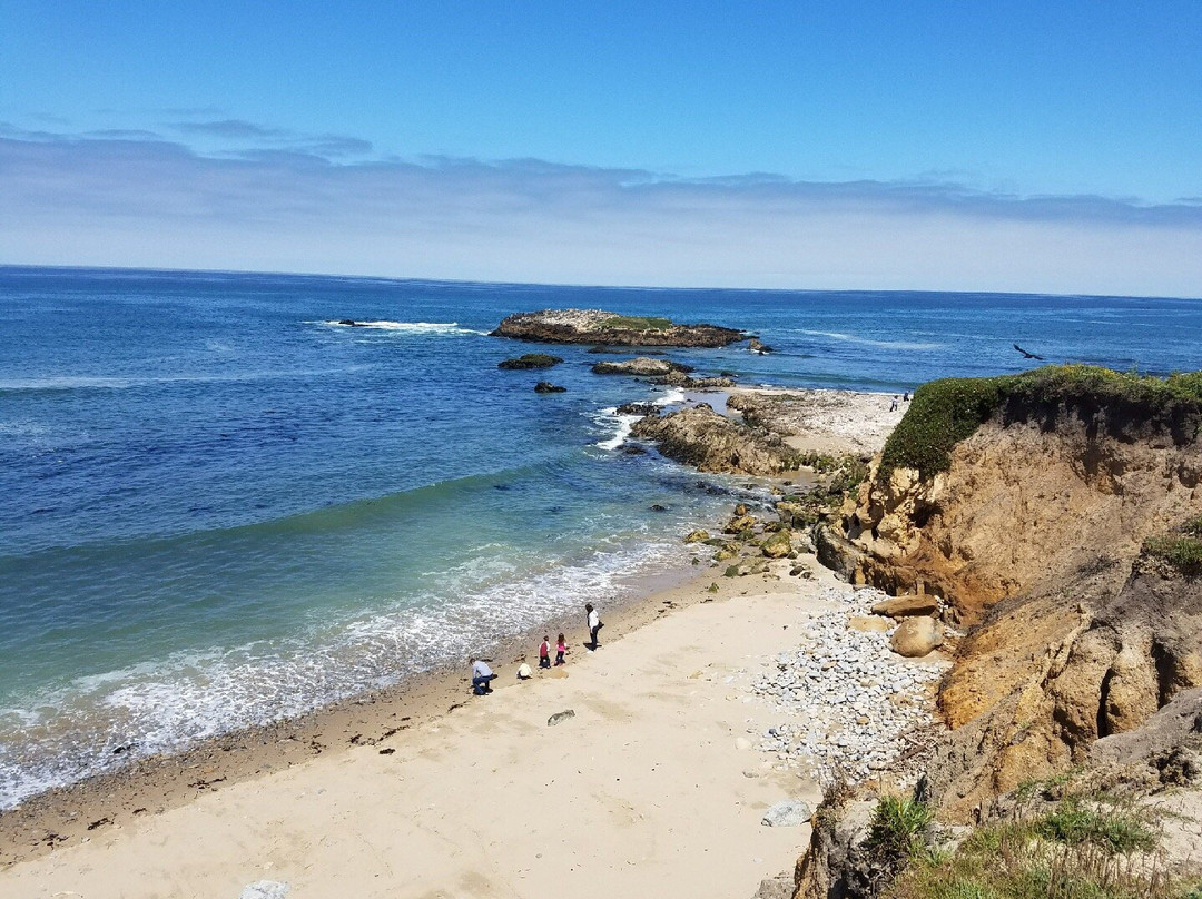 Half Moon Bay Coastside Trail景点图片