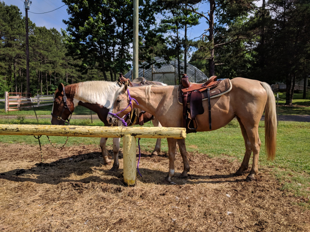 Barnyard Friends Peting Zoo-Morrilton必去景点