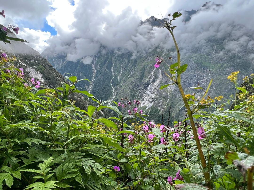 Uttarakhand Trails景点图片