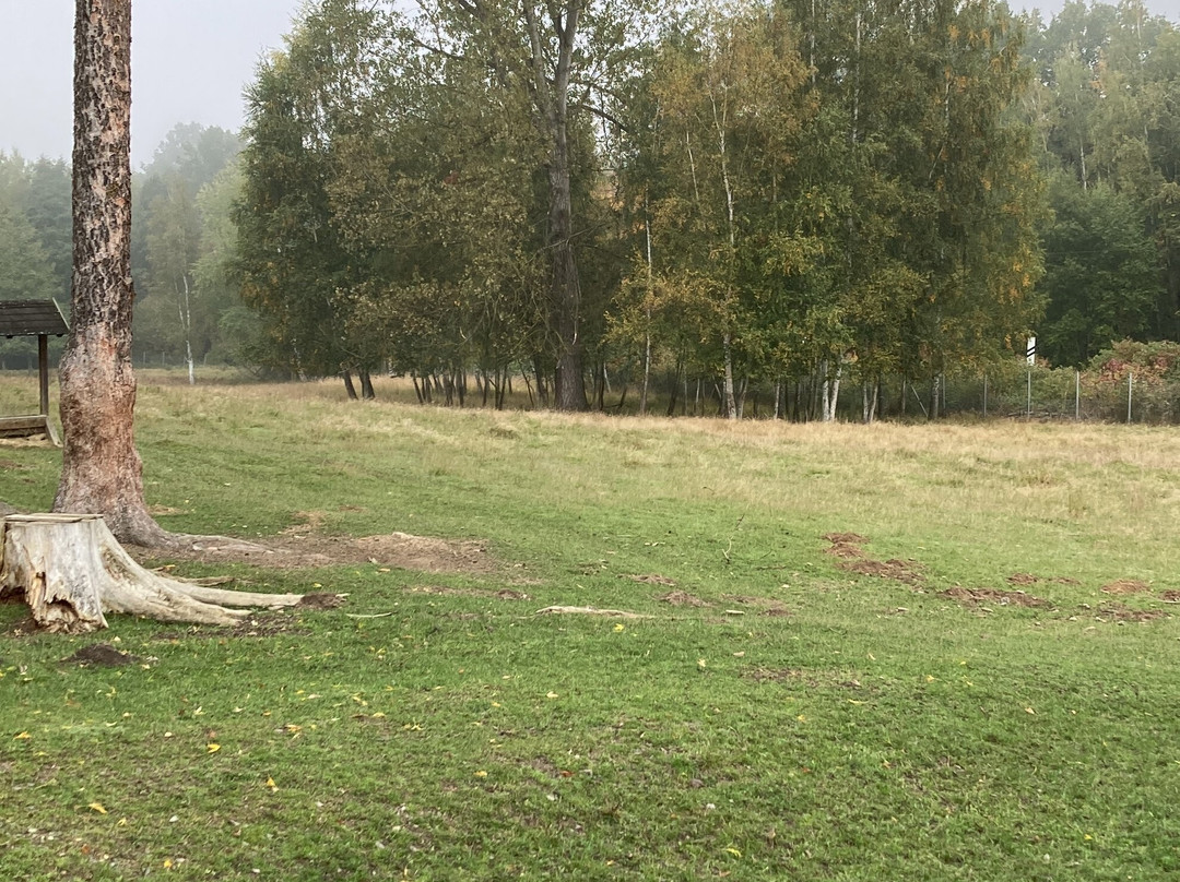 Hotelová obora • Hotelbereich