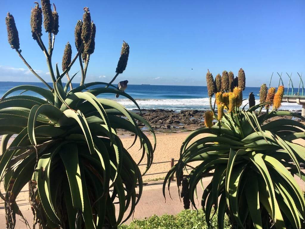 Cabana Beach Resort主图