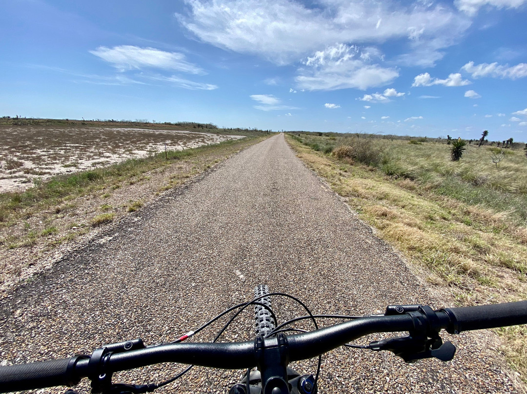 Laguna Atascosa National Wildlife Refuge-德克萨斯州墨西哥湾沿岸必去景点