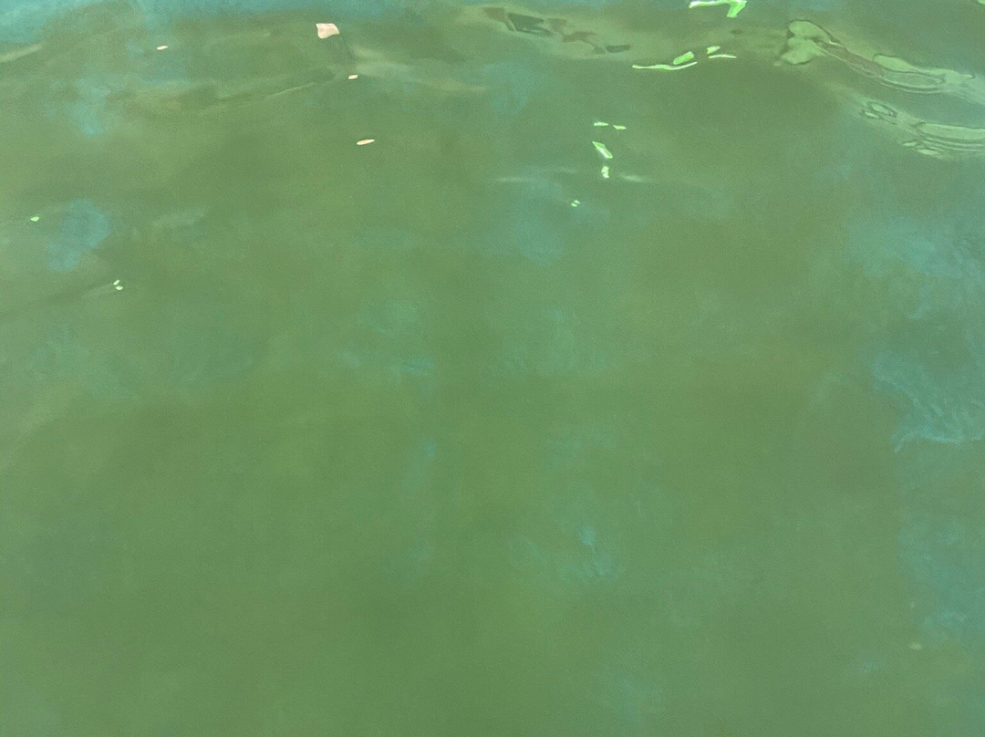 Super 8 by Wyndham Caraquet主图